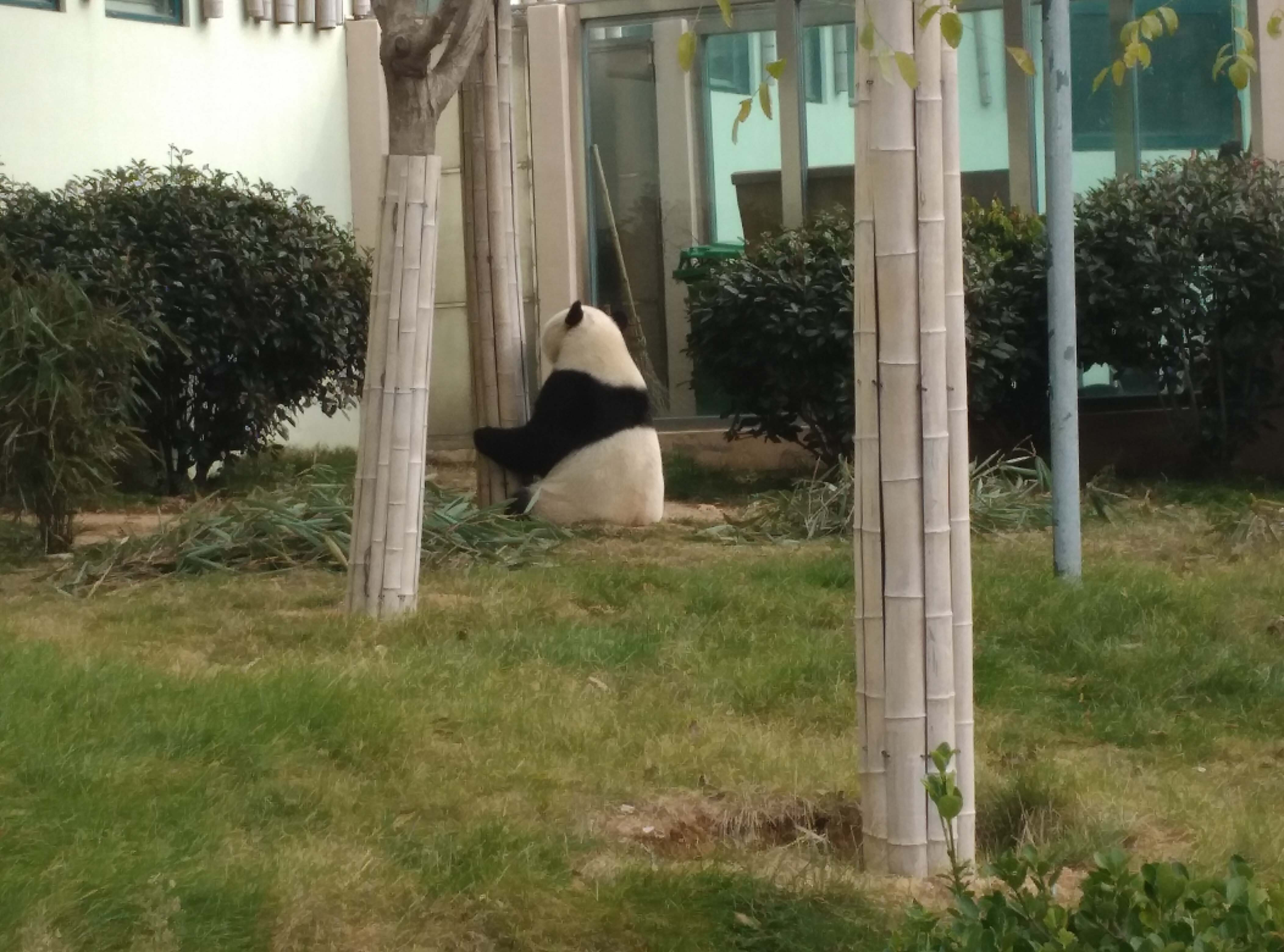 拜托大佬,帮我找DND\/伪DND类手游