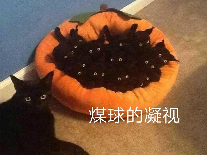 养不大第一阶段内测正式结束啦～