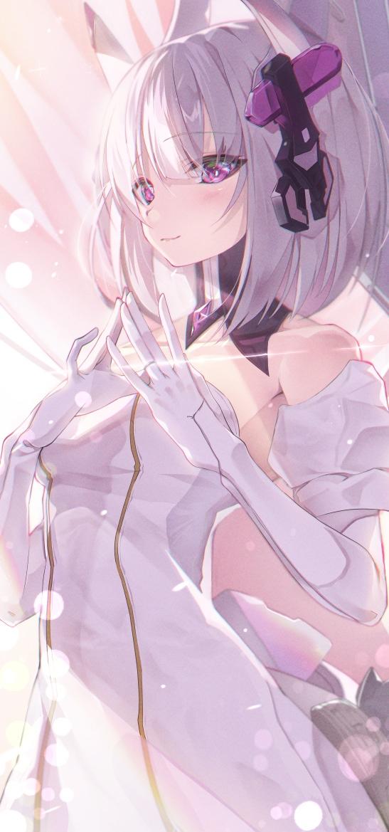 今日份的壁纸(๑•㉨•๑)ฅ