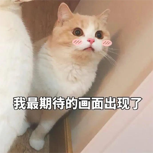 欢迎来到长安一条街