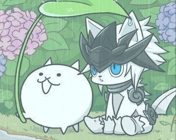 来自猫咪中的感人故事 - 猫咪大战争综合 | taptap 猫咪大战争社区