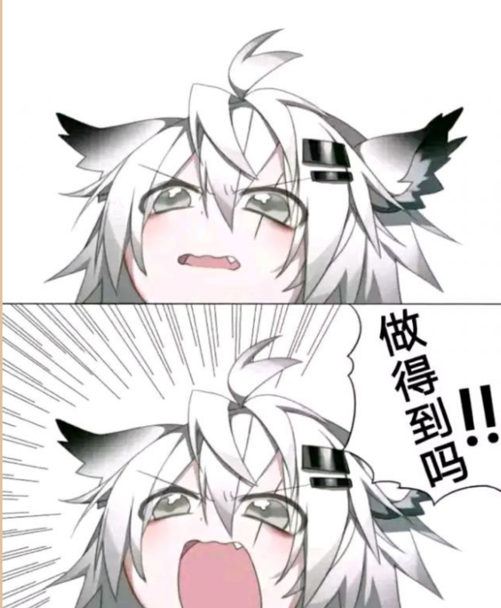 这是什么意思