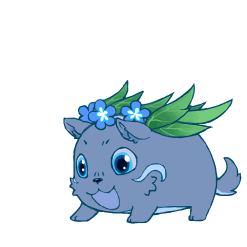 内测返利、礼包兑换等问题，戳这里了解