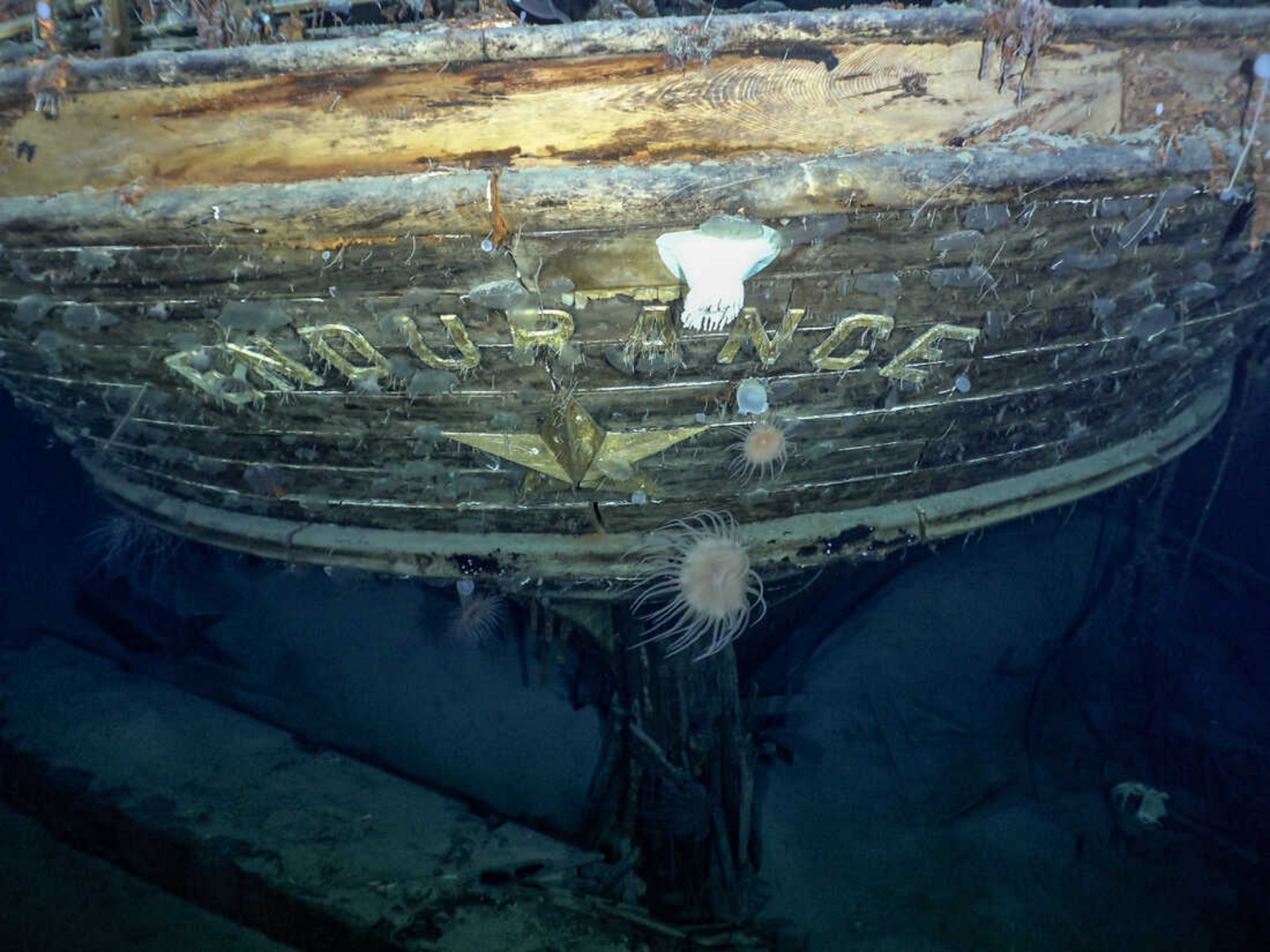 【浪的科普】百年前的沉船被發現，古老而波瀾壯闊的冒險故事浮出水面|代號：ATLAS