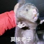 托拉姆物语剑拳攻略详解 托拉姆物语剑拳攻怎么玩