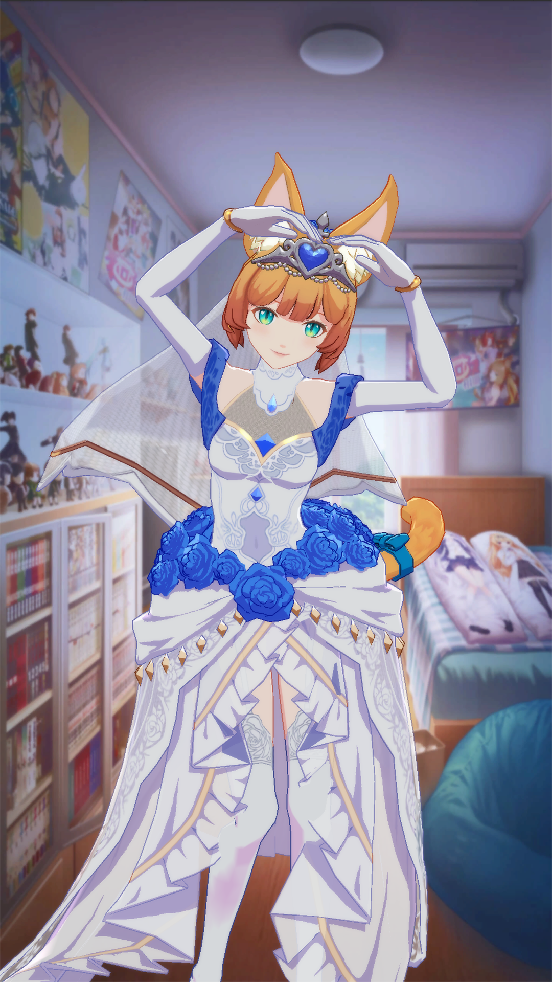 【猫百科】琉璃的养猫需知小课堂！