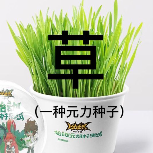 没想到金和凯佬送的衣服穿一起还蛮搭的