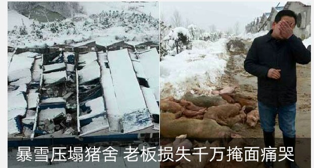 暴雪游戏通行证