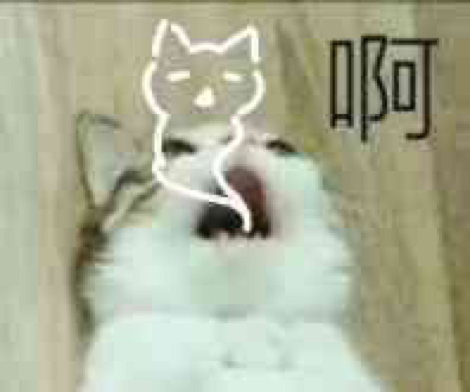 土御门和鸽林哒一起开服?