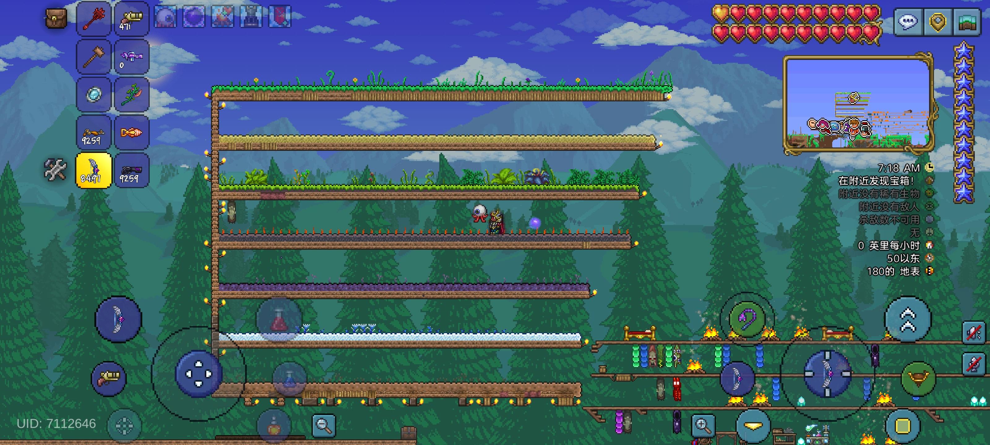 幌菊和月光草，真的太难种啦!!!!!!!!!!!!!!!!!🙃🙃🙃🙃🙃截图