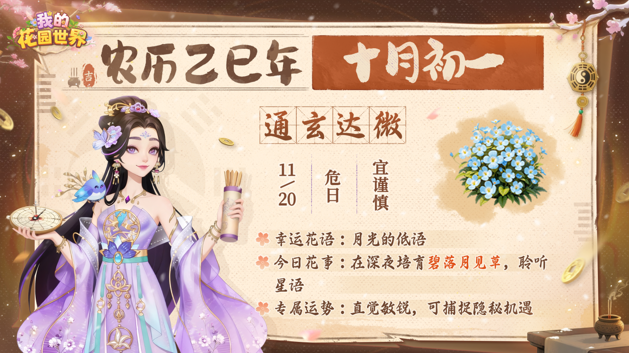 【花园运势】十一月花事手札