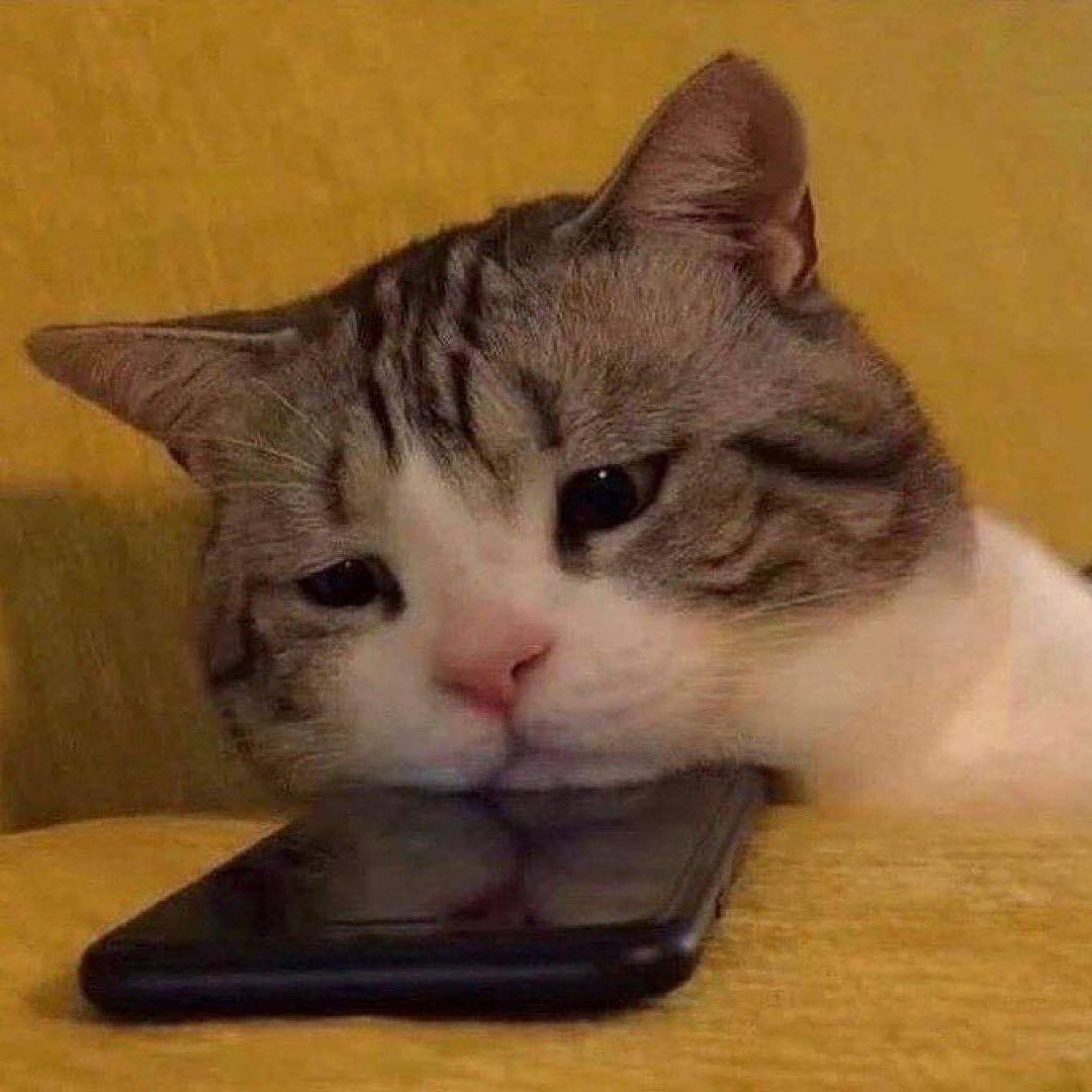 【开发日志 Vol.04】📦 打包准备