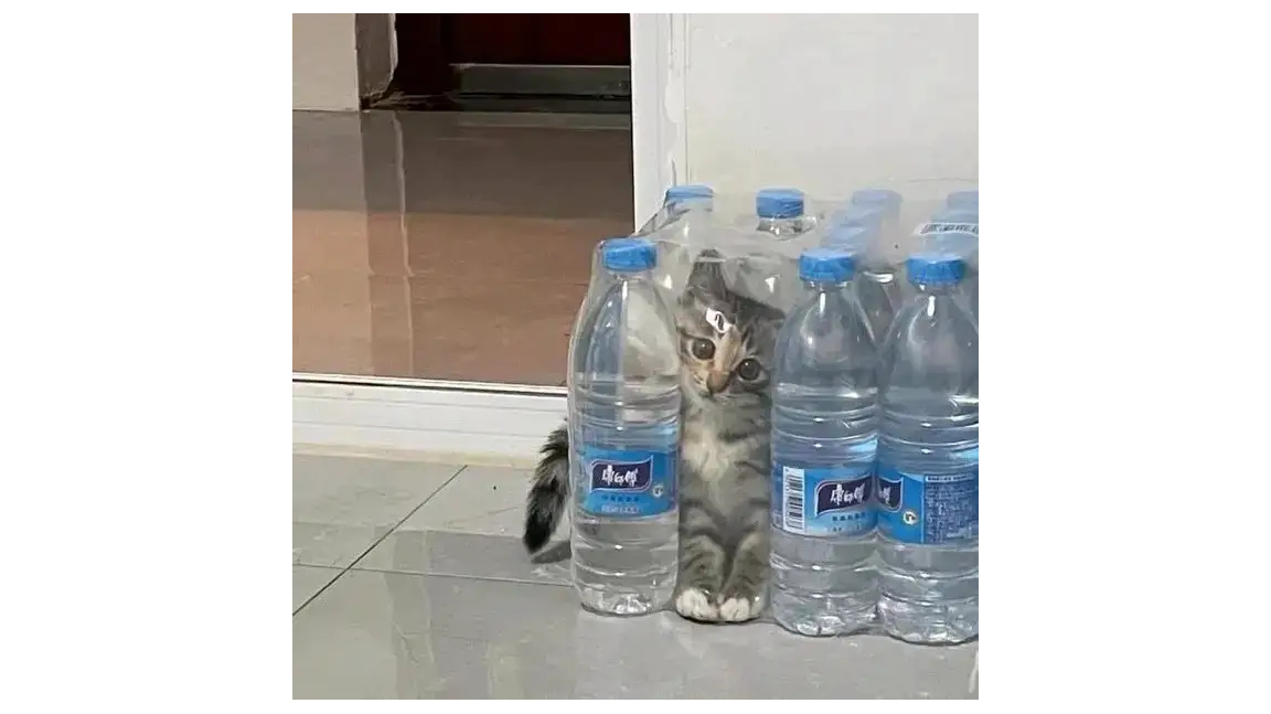 小氪V6左右如何经营好自己的游戏（新区第一周）