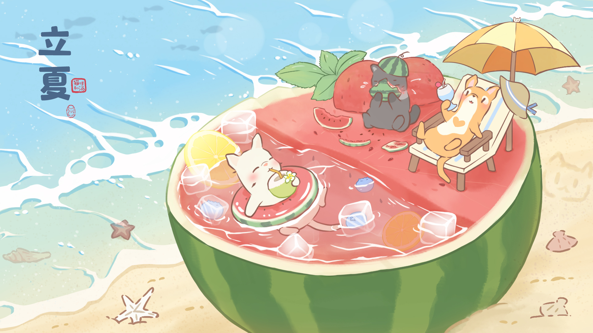 猫咪和汤|立夏相约，瓜果香甜！