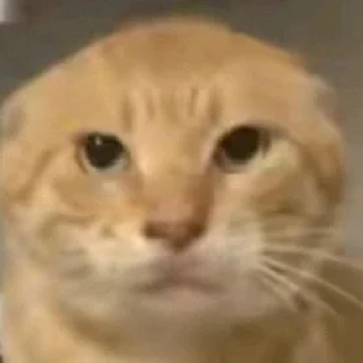 我们需要自定义按键大小