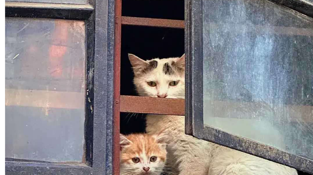 你看太阳现在这么暖，晒晒太阳补充能量吧