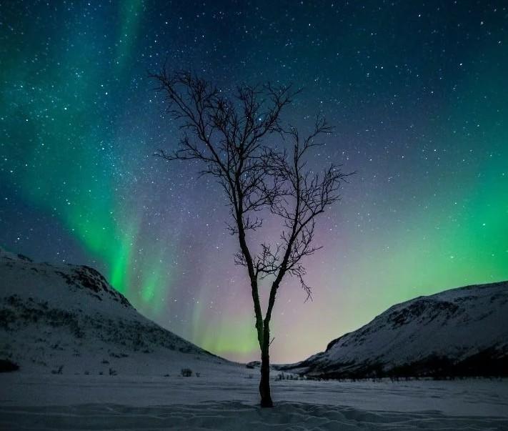 崩坏…星穹…铁道：维护与盈利