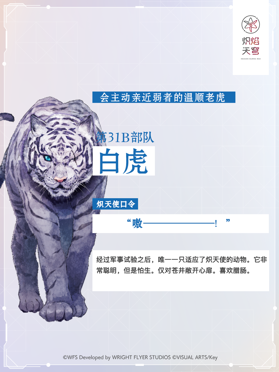 【角色介绍】白虎