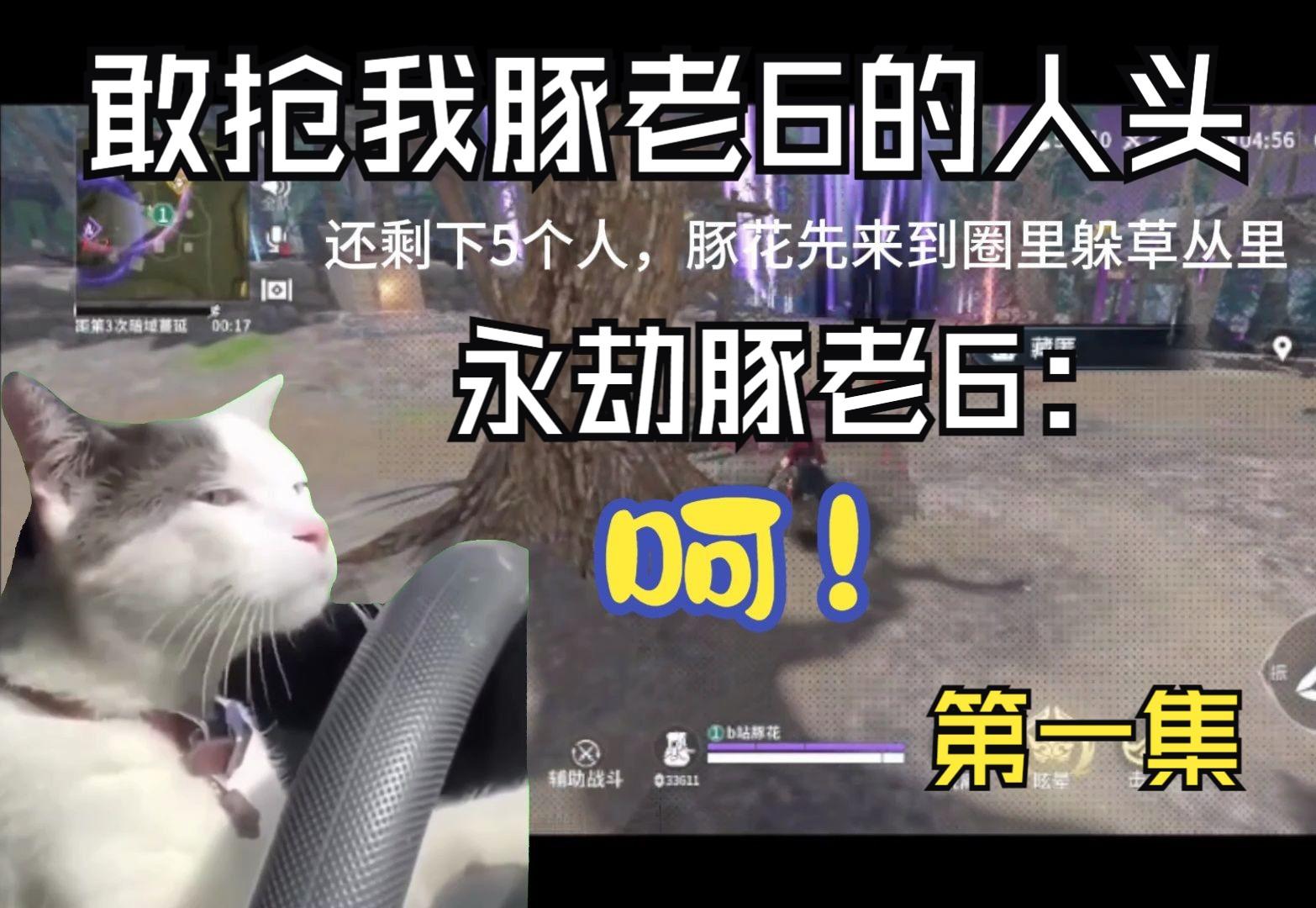 第一集 我豚老6的人头，你也敢抢 #猫meme #永劫无间手游