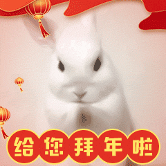 大展宏“兔”《画狐》项目组祝大家开年大吉！