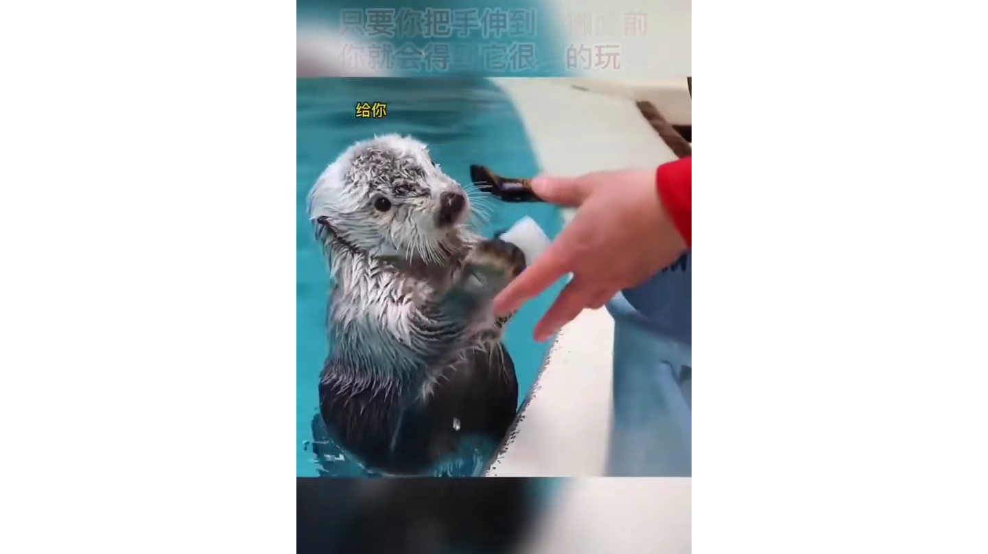 至策划的一封信