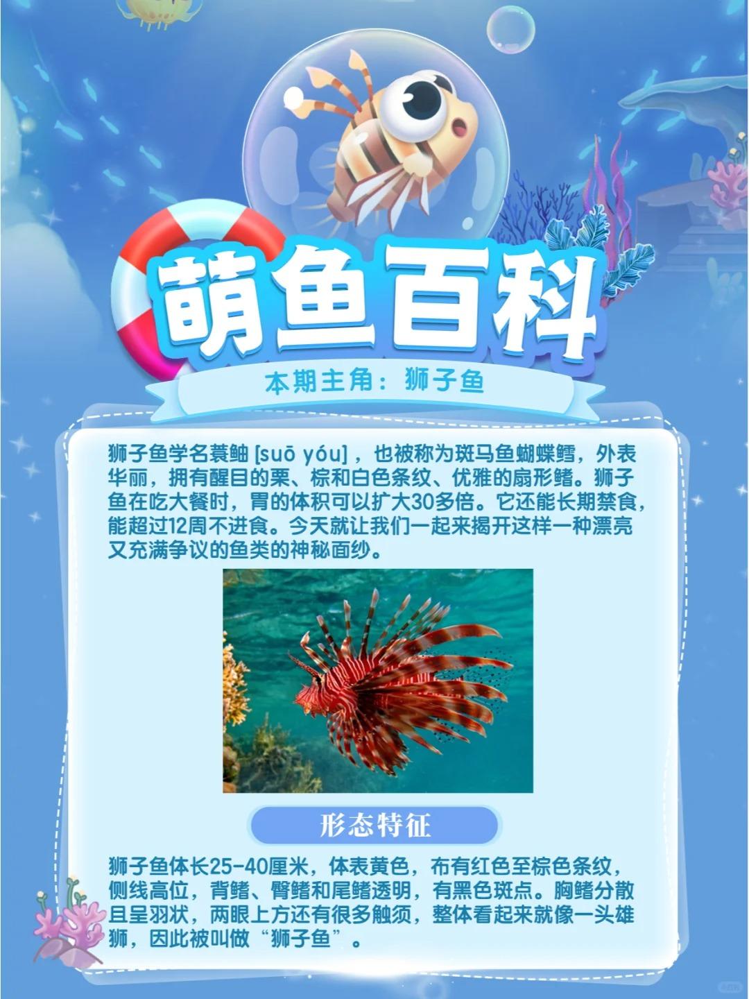 萌鱼百科丨第4期：狮子鱼