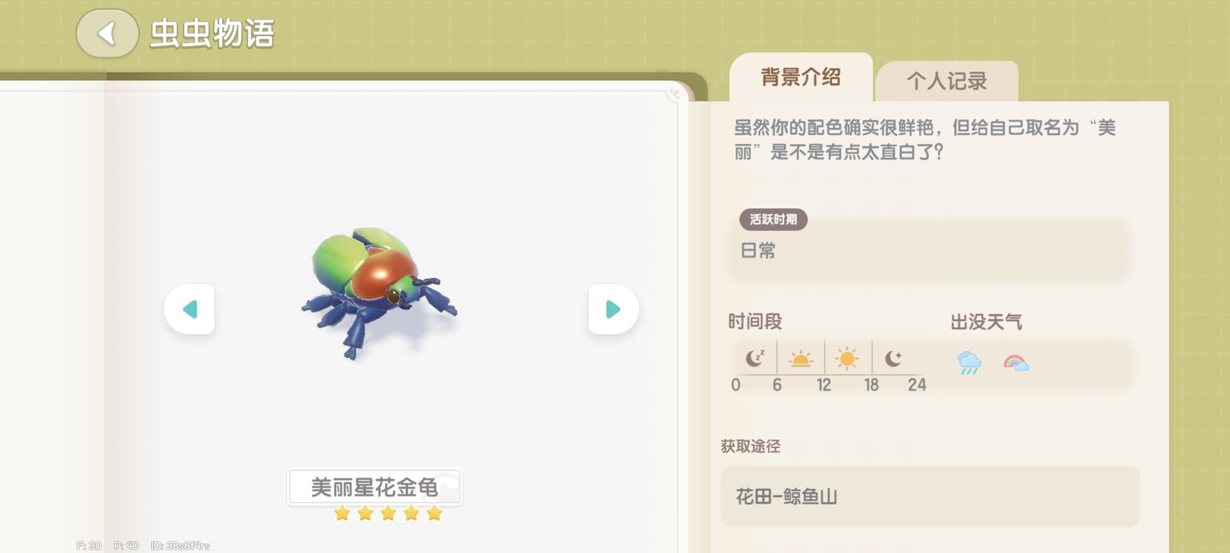 39 美丽星花金龟