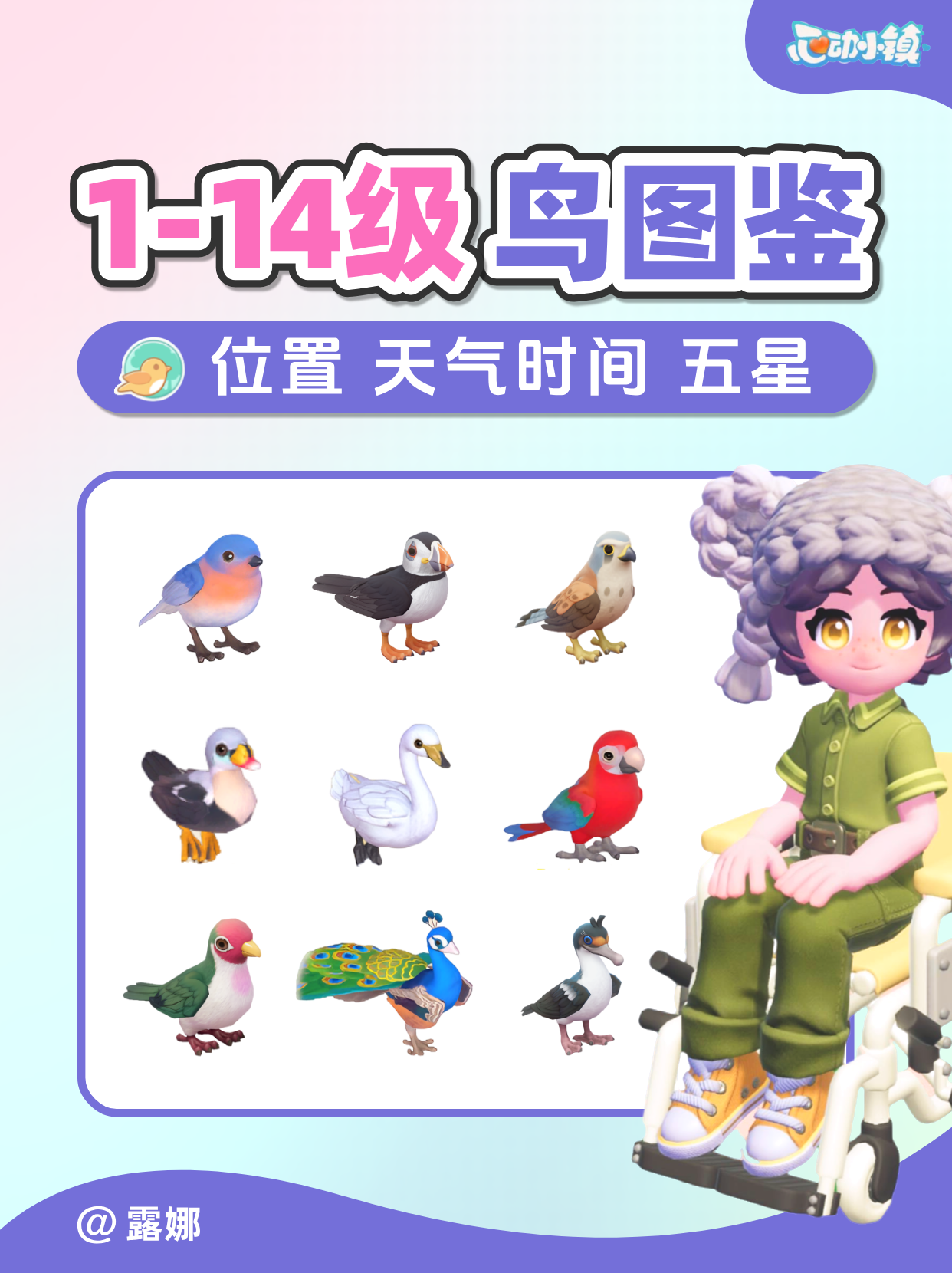 1-14级 观鸟全图鉴 位置天气时间 五星攻略