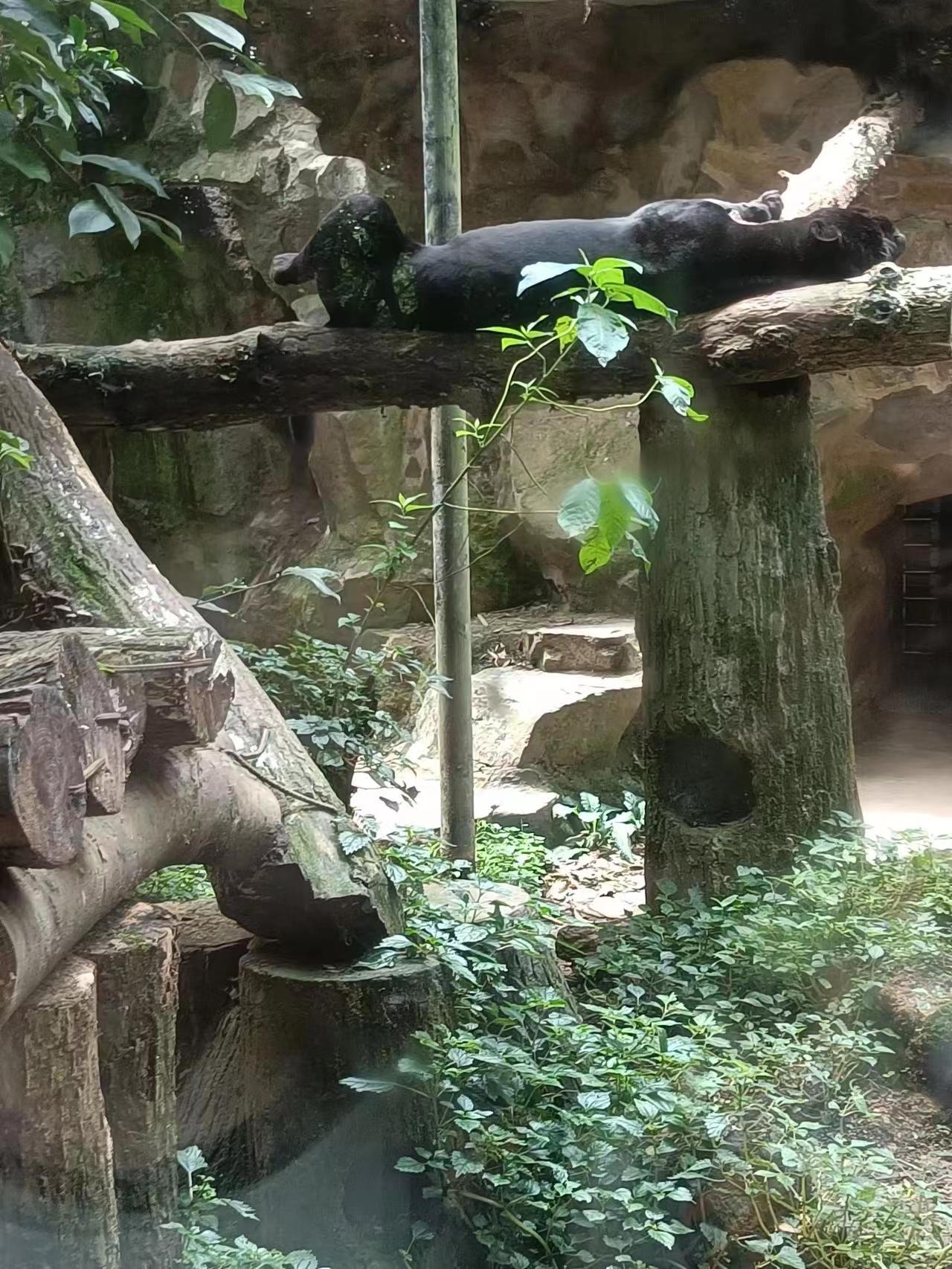 杭州动物园