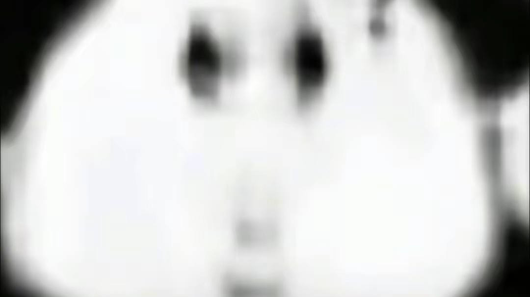 兄弟们，我可什么都没透啊截图