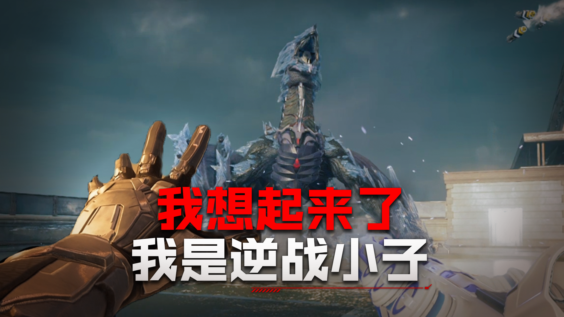 我想起来了…我是逆战小子！