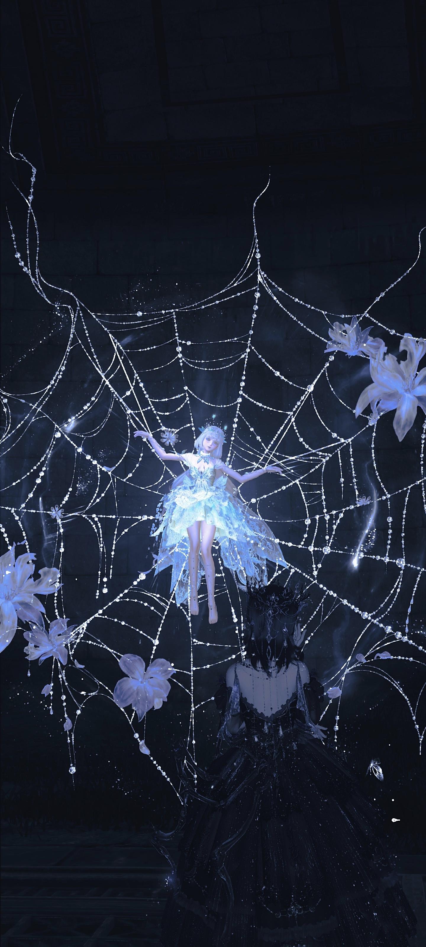 捕食的蜘蛛和被捕的飞蛾