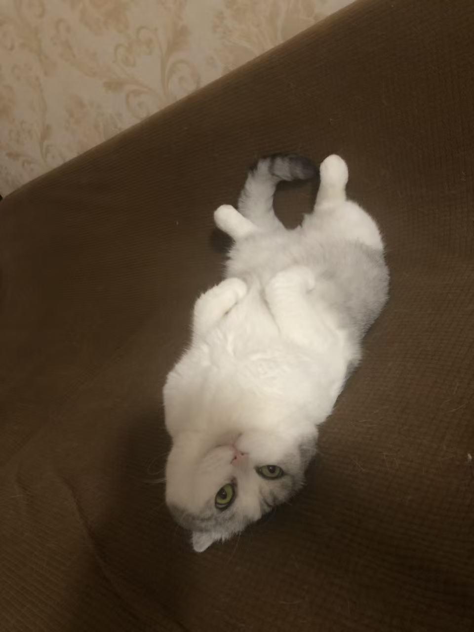 有关攻略说几句