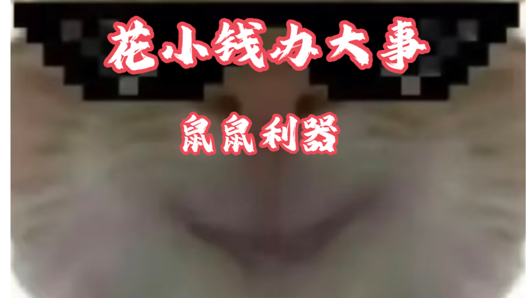 【三角洲行动】高性价比平民神器第二期！花小钱办大事，鼠鼠利器