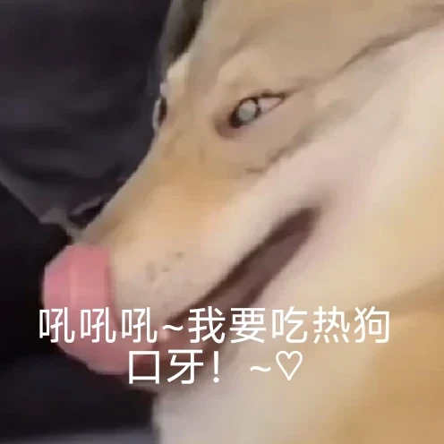 接着写一段（六）