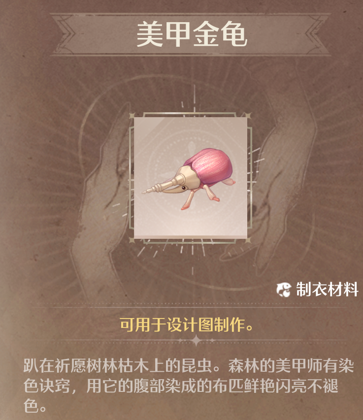 美甲金龟抓取点位