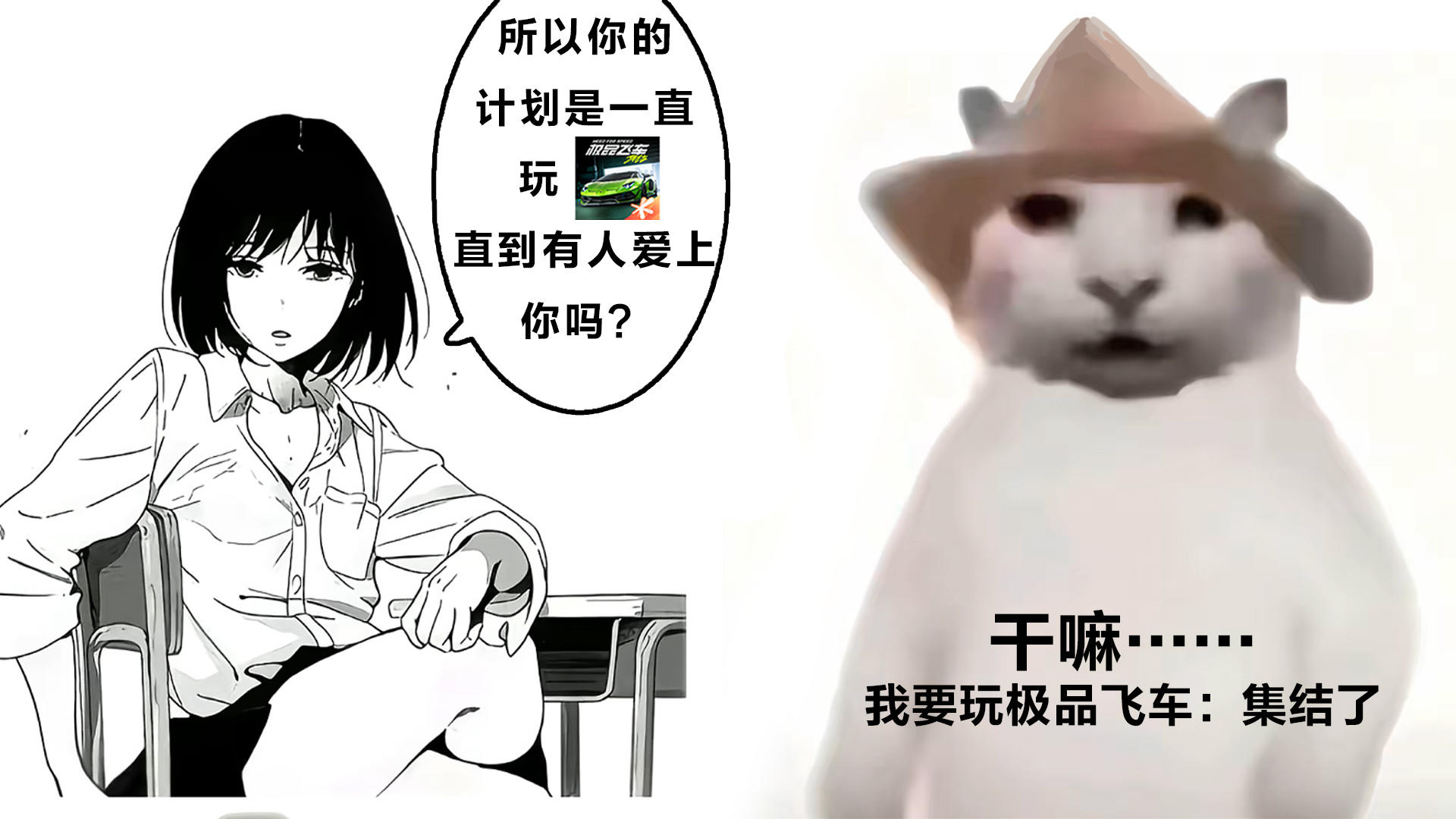 其实你是一个有建模有情商又很会赛车的小猫