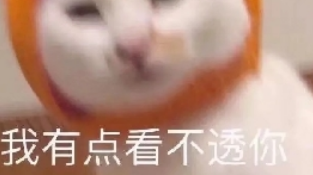 新版本开会内容总结分析