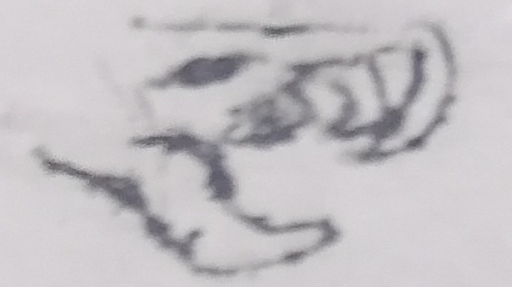 深入思考虚无之刺流