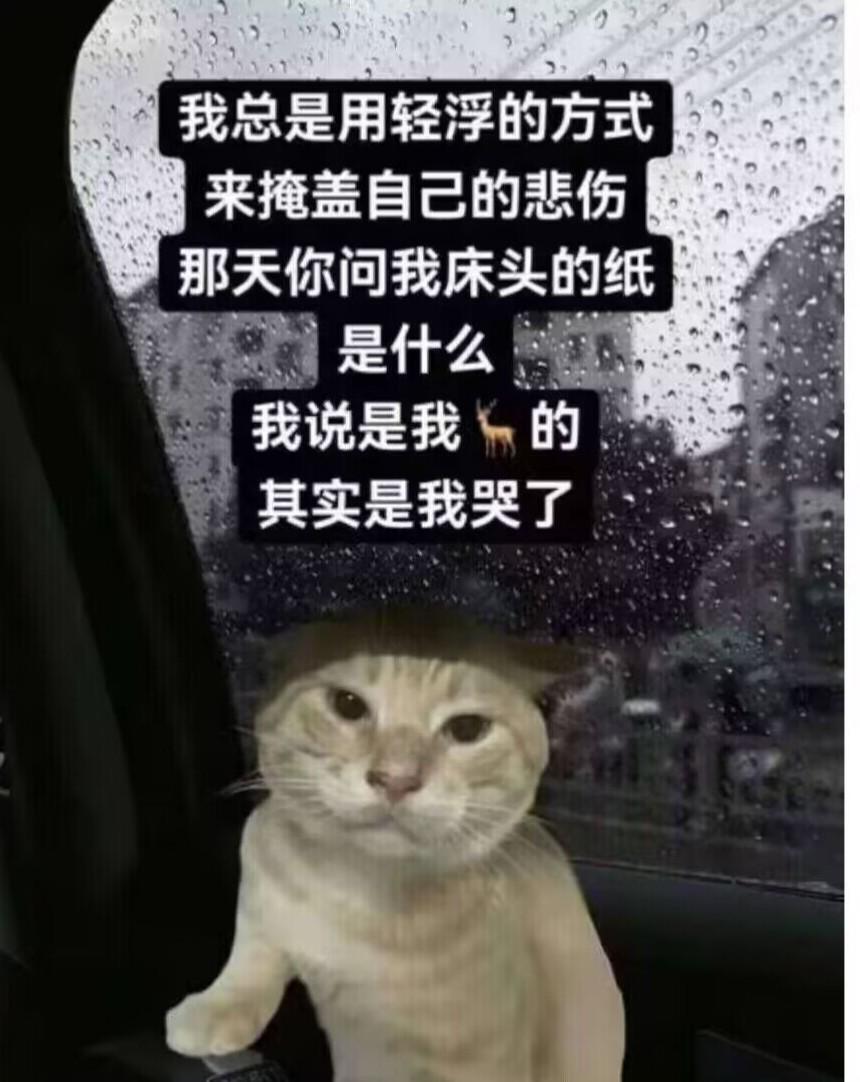 加强列拉金😭😭😭😭