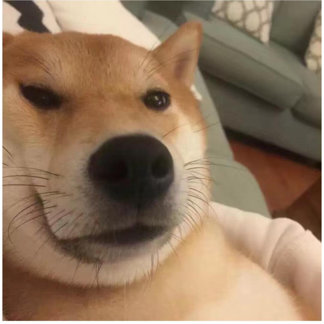 圣枪1绝活游侠的春天BD思路