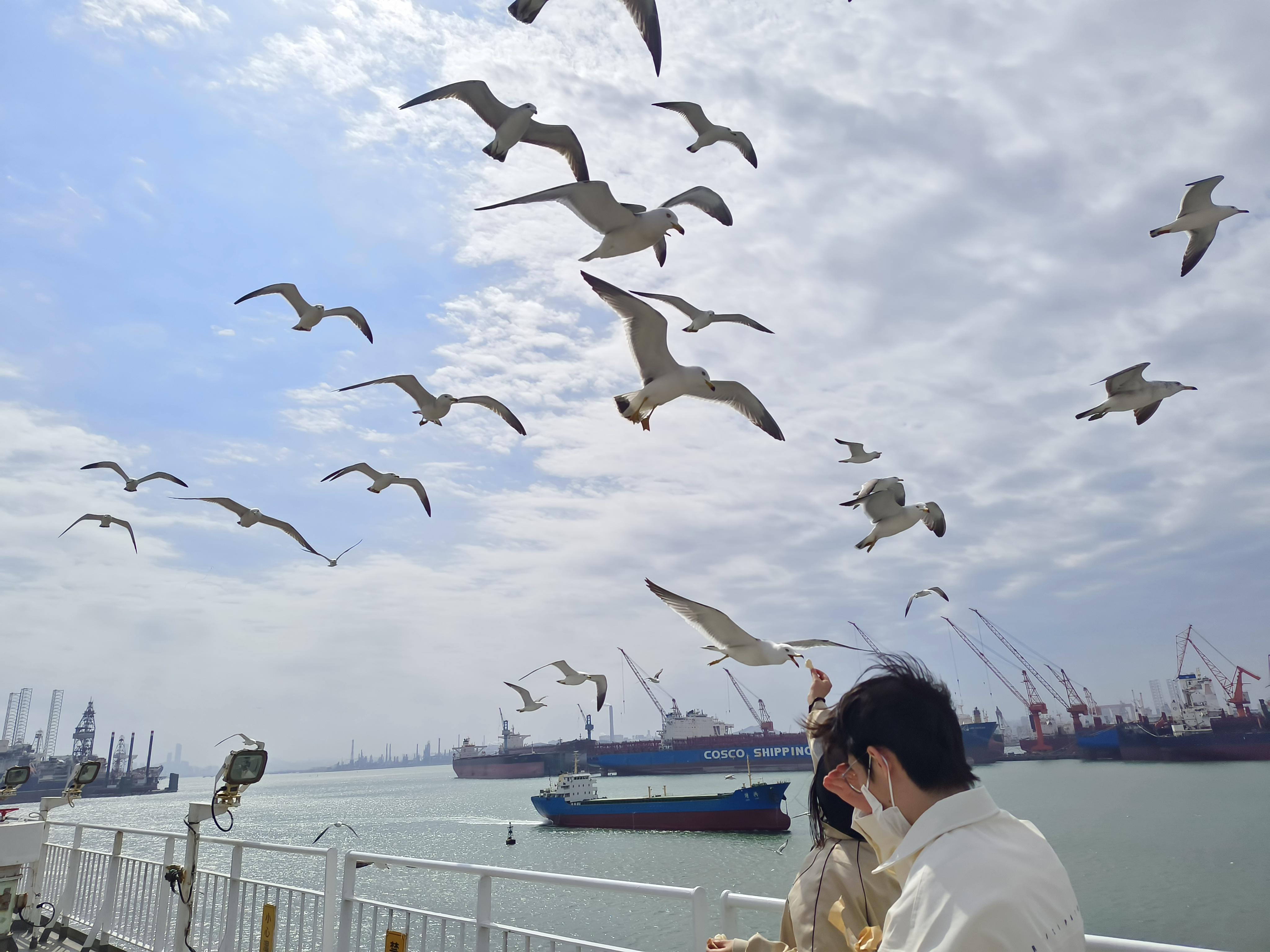 目前15号以内最全兑换码