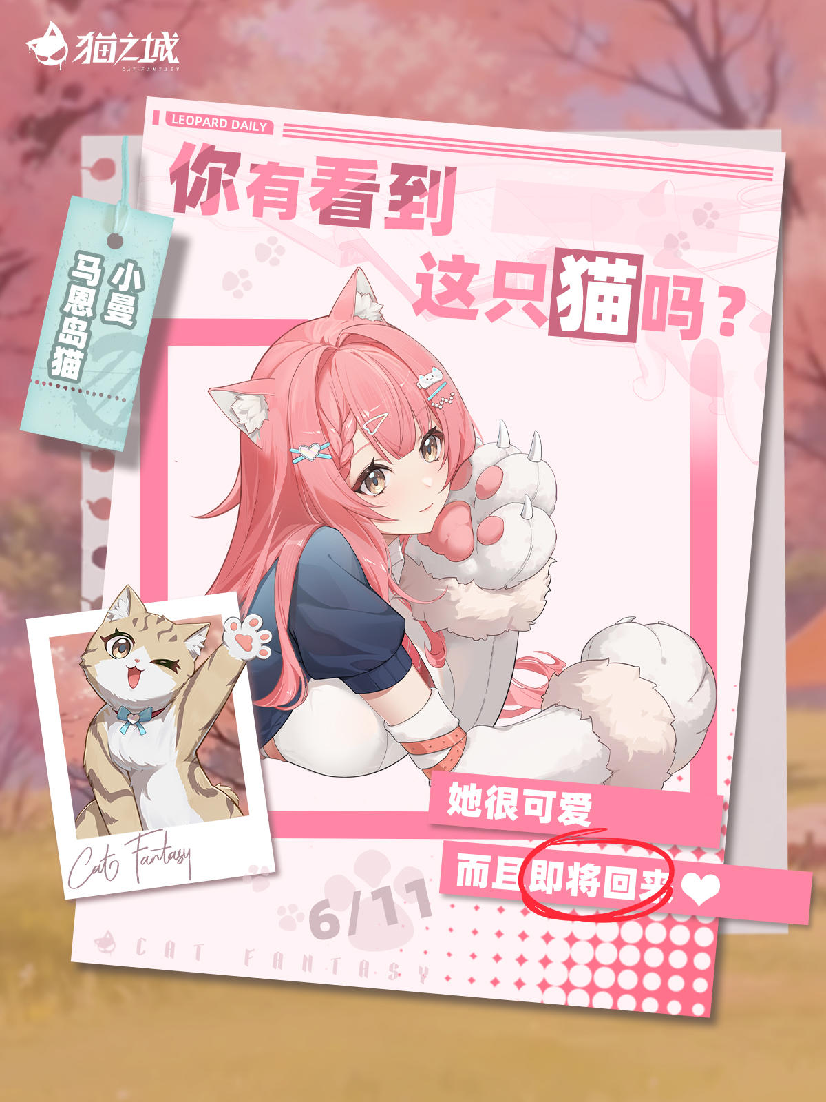 🐾寻猫启事：你有看到马恩岛猫吗？