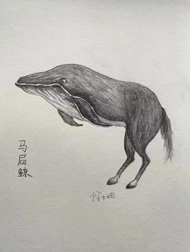 下一个时代是什么？ 真伤生命？截图