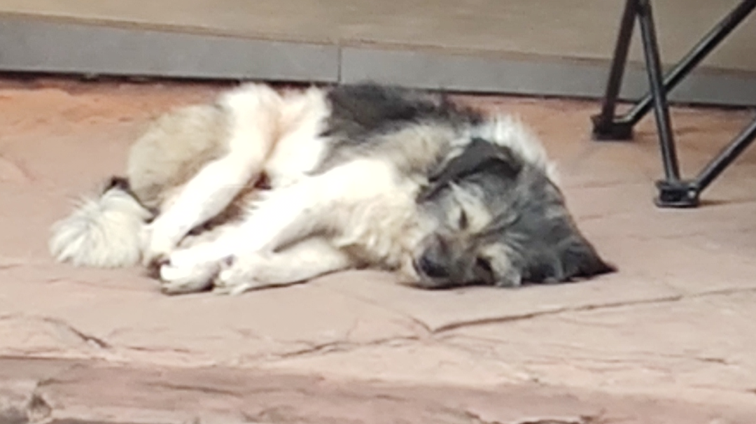 居然又要写月总结了吗