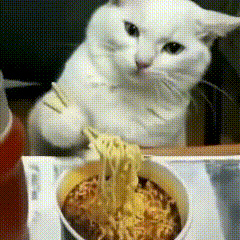 我觉得有什么建议就趁现在说