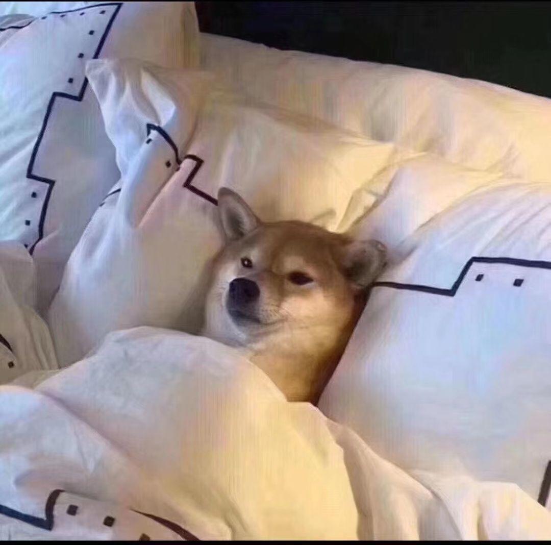 孩子们我又回来了，自由六人队满爆率爽去吧