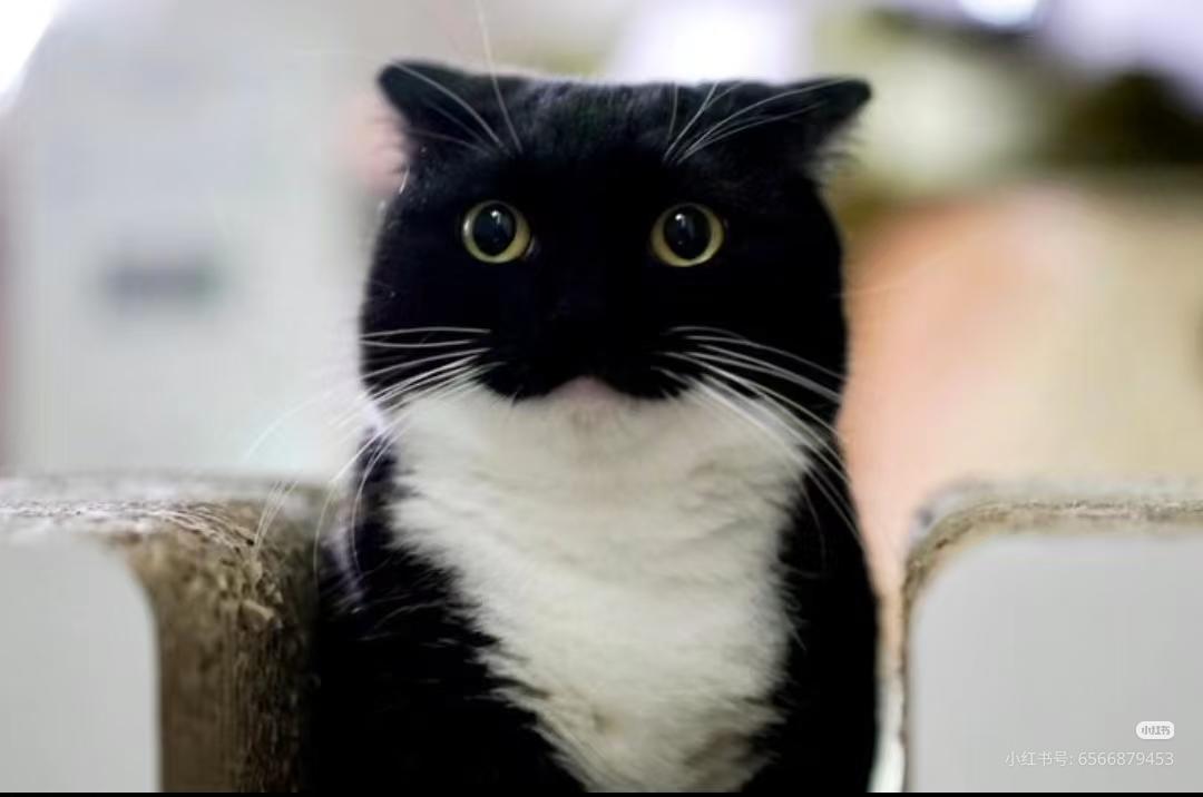 魔炮杂谈（部分灌伤连击及片段分析）