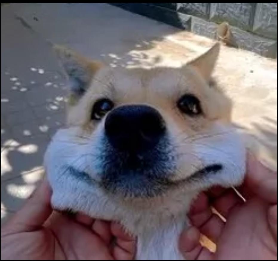 瓜熟蒂落，十一篇