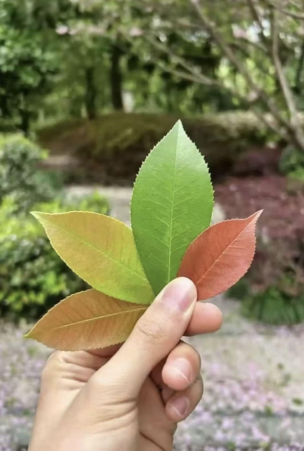 休息一下，马上就来。